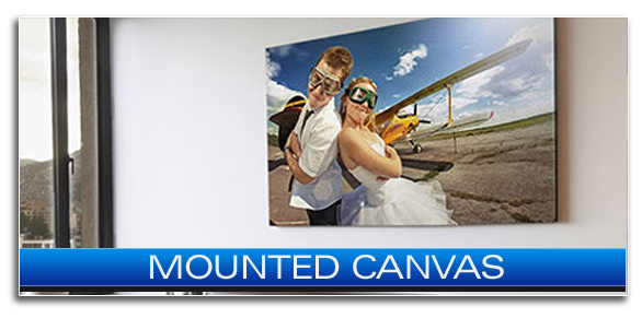 MOUNTED CANVAS HOUSTON